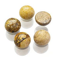 Кабошони Натуральна Яшма, Напівкруглі, Коричневий, 8x4мм, 5 шт