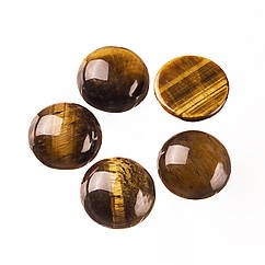 Кабошони Натуральне Тигрове Око, Напівкруглі, Коричневий, 10x4~5мм, 5 шт