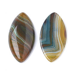 Кабошони Натуральний Бразильський Агат, Кінське Око, Пофарбовані, 40x19.5x5~6.5мм, 2 шт