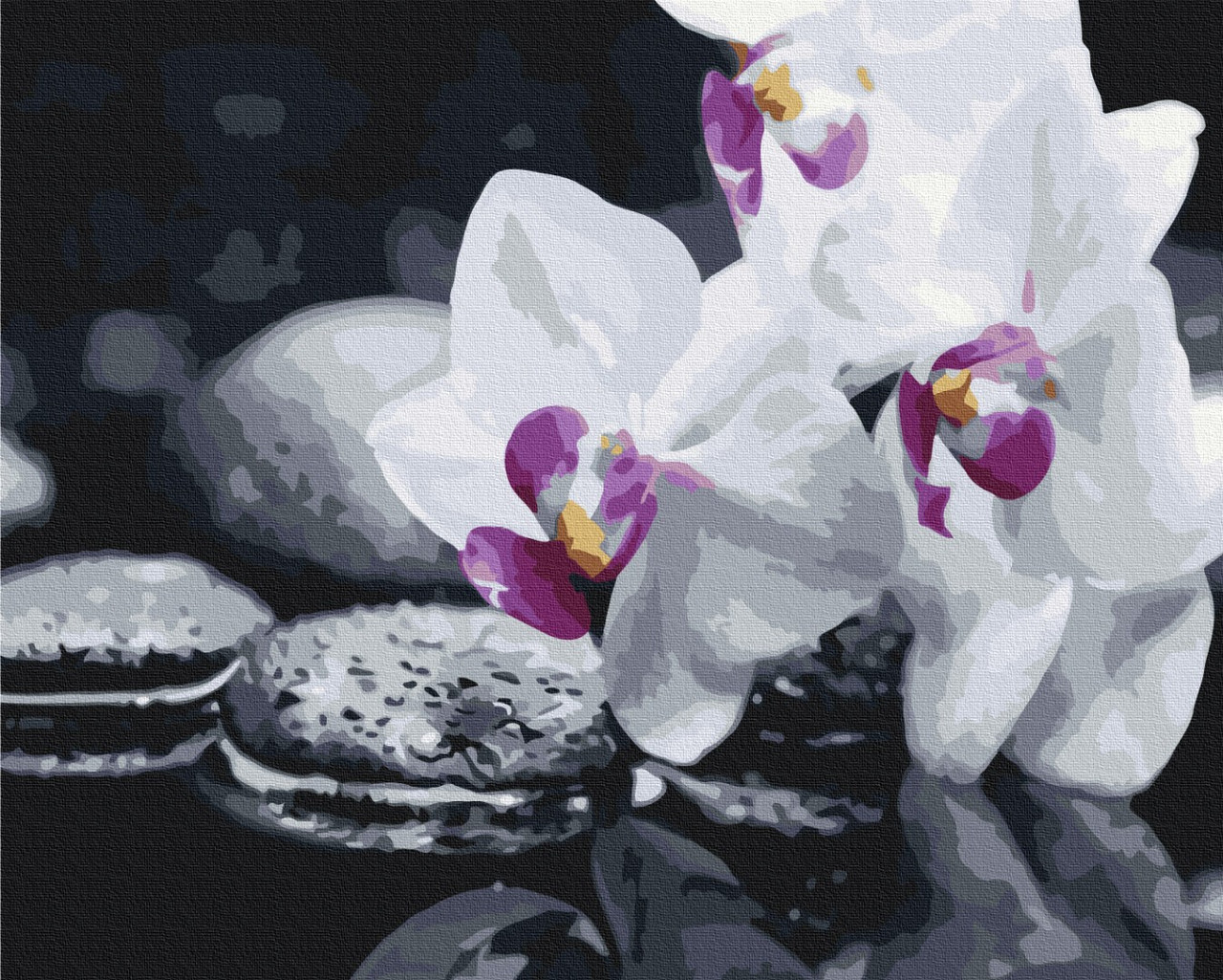 Картина за номерами 40х50 см. Орхідеї. Квіти дзену Brushme BS21140, фото 1