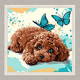 Картина за номерами Тварини. Пудель 40*40 см Ідейка KHO 6793, фото 2