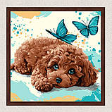 Картина за номерами Тварини. Пудель 40*40 см Ідейка KHO 6793, фото 3