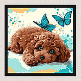 Картина за номерами Тварини. Пудель 40*40 см Ідейка KHO 6793, фото 4