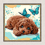 Картина за номерами Тварини. Пудель 40*40 см Ідейка KHO 6793, фото 5