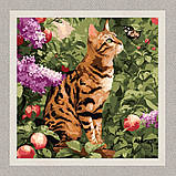 Картина за номерами Тварини. Бенгальський кіт 40*40 см Ідейка KHO 6794, фото 2