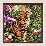 Картина за номерами Тварини. Бенгальський кіт 40*40 см Ідейка KHO 6794, фото 3