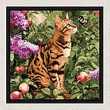 Картина за номерами Тварини. Бенгальський кіт 40*40 см Ідейка KHO 6794, фото 4