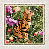 Картина за номерами Тварини. Бенгальський кіт 40*40 см Ідейка KHO 6794, фото 5