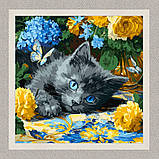 Картина за номерами Тварини. Блакитнооке кошеня 40*40 см Ідейка KHO 6795, фото 2