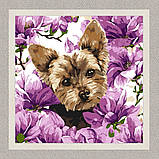 Картина за номерами Тварини. Йорк в магнолії 40*40 см Ідейка KHO 6796, фото 2