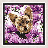 Картина за номерами Тварини. Йорк в магнолії 40*40 см Ідейка KHO 6796, фото 4