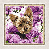 Картина за номерами Тварини. Йорк в магнолії 40*40 см Ідейка KHO 6796, фото 5