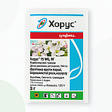 Фунгіцид Хорус, 3 г, фото 2