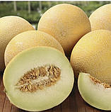 Диня Галанет F1 8 шт, фото 2