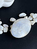 Кабошон натуральний місячний камінь овал камінь без оправи кабошон палм адуляр., фото 3