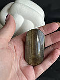 Тигрове око натуральне овал 57*29*19 мм. камінь тигрове око палм без оправи., фото 5