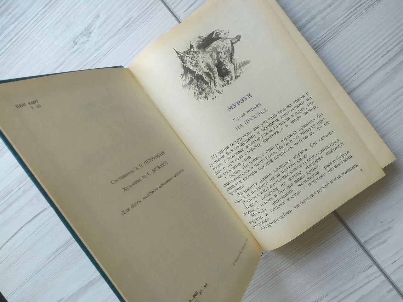 Product image preview