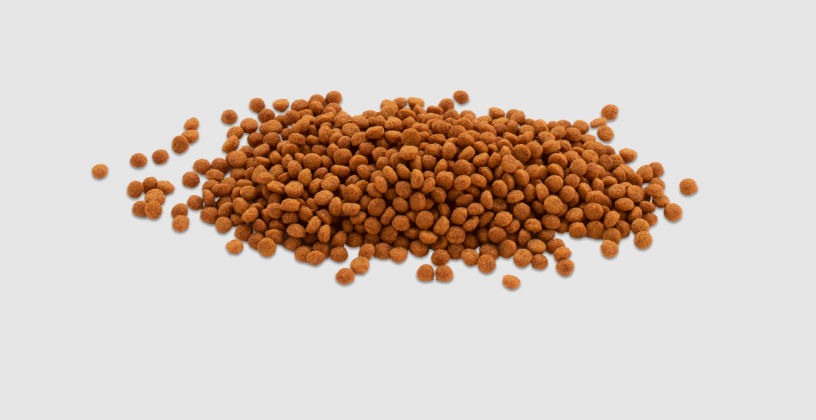 Корм Tetra Cichlid Colour Mini для акваріумних риб у гранулах светр 100 грамів, фото 1