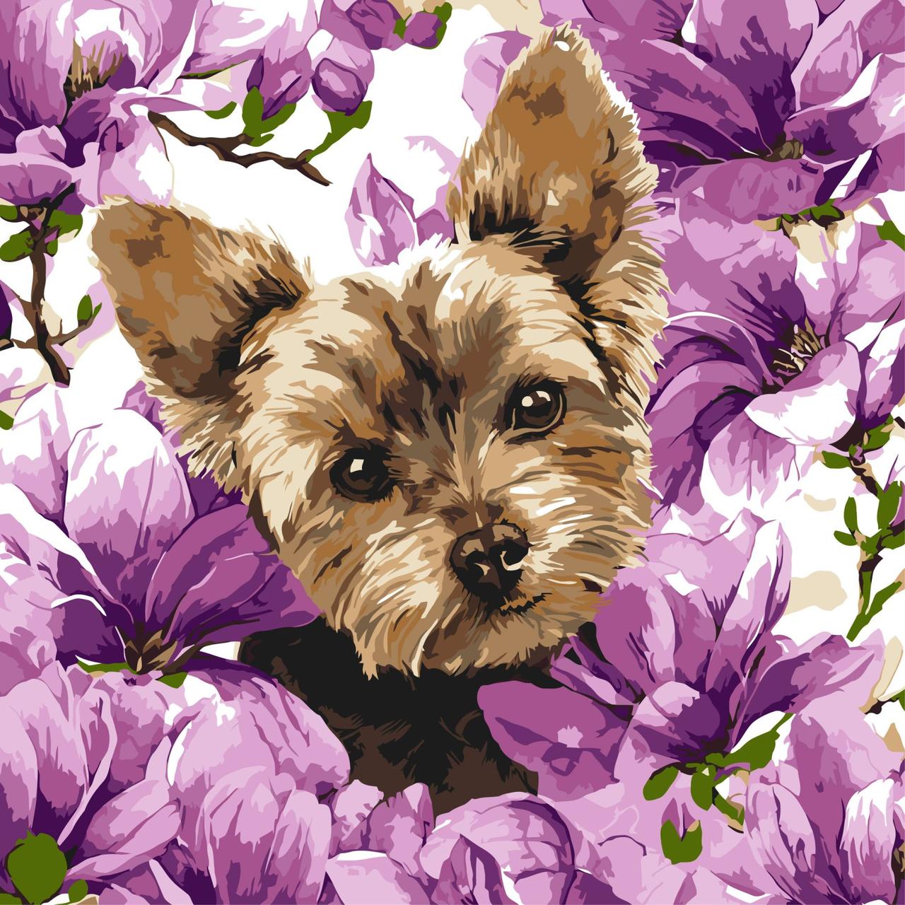 Картина за номерами 40х40 см. Йорк в магнолії ©art_selena_ua Ідейка. KHO6796, фото 1