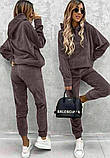 Велюровий костюм жіночий кофта з капюшоном і штани 42-44 46-48 50-52, фото 9