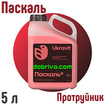 Паскаль 5 л Протравник
