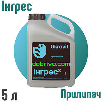 Ад'ювант Інгрес 5 л, прилипач, найкраща ціна купити