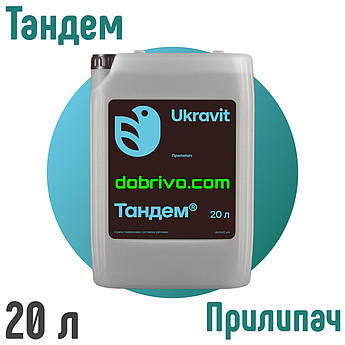 Тандем 20 л. (аналог Тренд) Прилипач