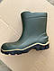 Чоловічі гумові чоботи Літма Litman, фото 2