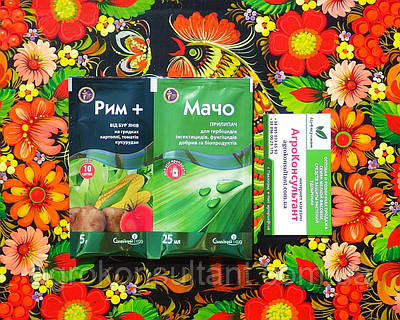 Рим 5 г + Мачо 25 мл — послевсходовый гербицид для борьбы с сорняками в посадках кукурузы и картофеля