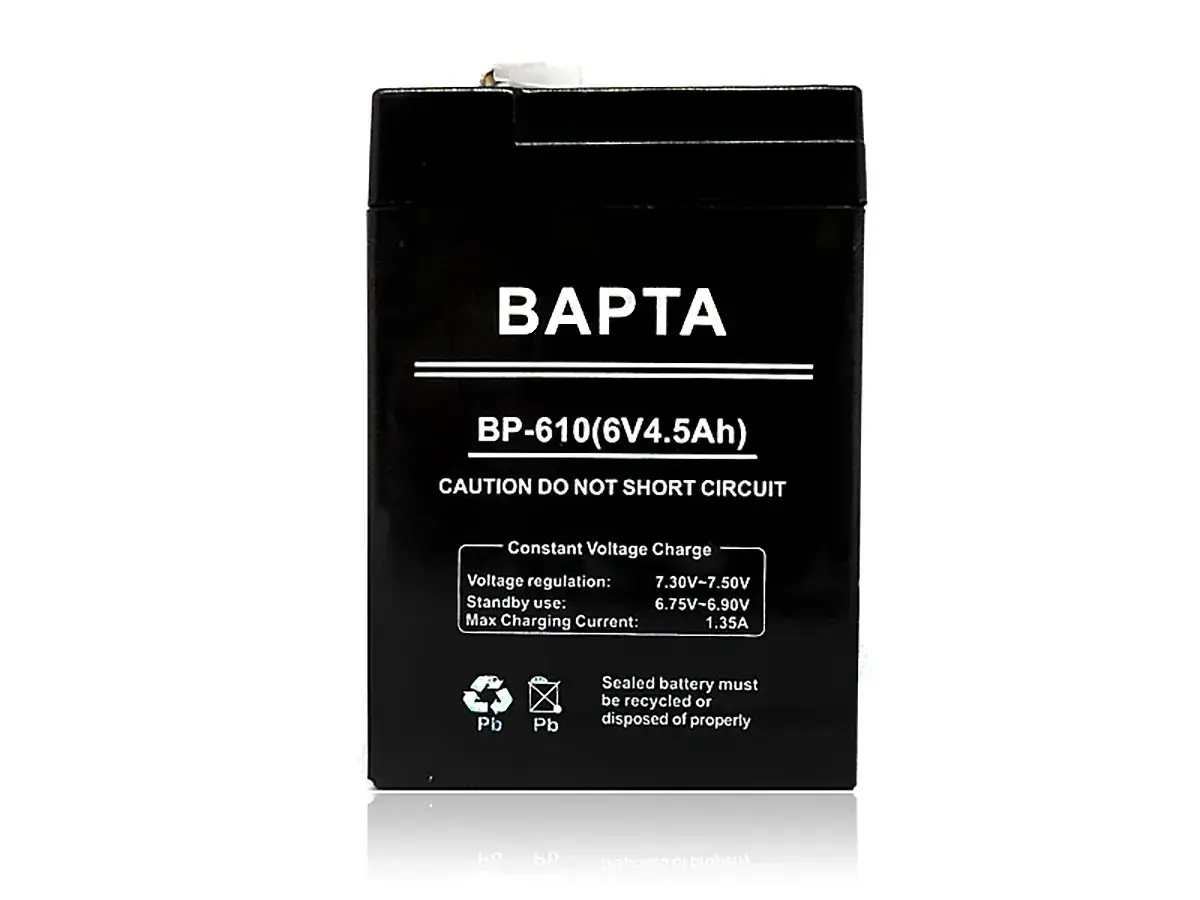 Акумуляторна батарея BAPTA 6 В 4.5 А·год, фото 1