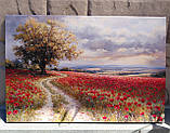 Інтер’єрна картина  Дорога серед маків, фото 2