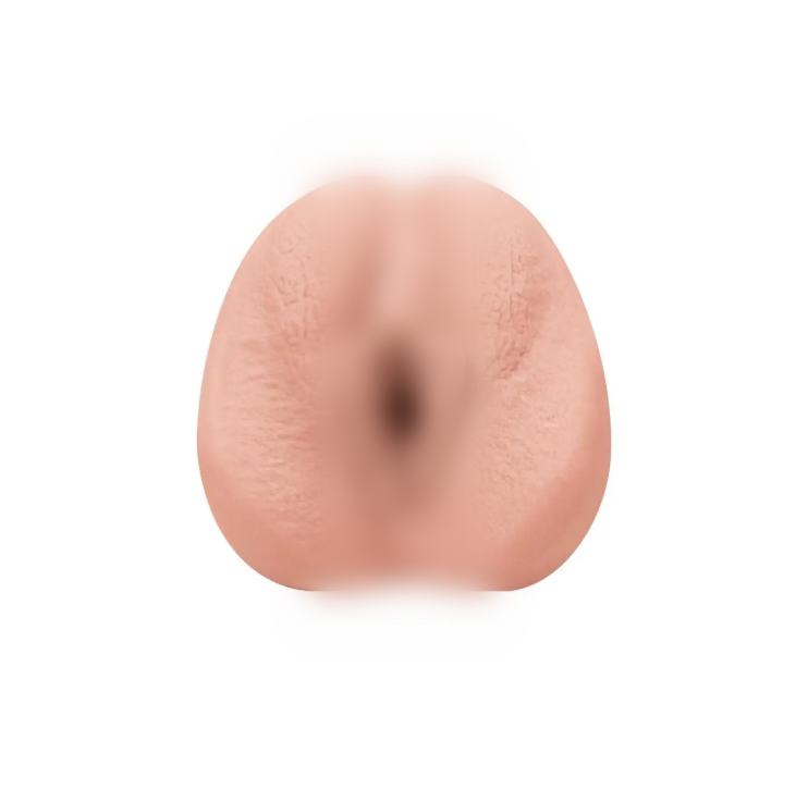 Мастурбатор-вагіна Alive Amelia Super Realistic Masturbator S Flesh, реалістичний канал, фото 1