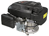 Косарка з двигуном 4.5 HP MAR-POL M79892 двигун OHV 139 куб. см riven, фото 2