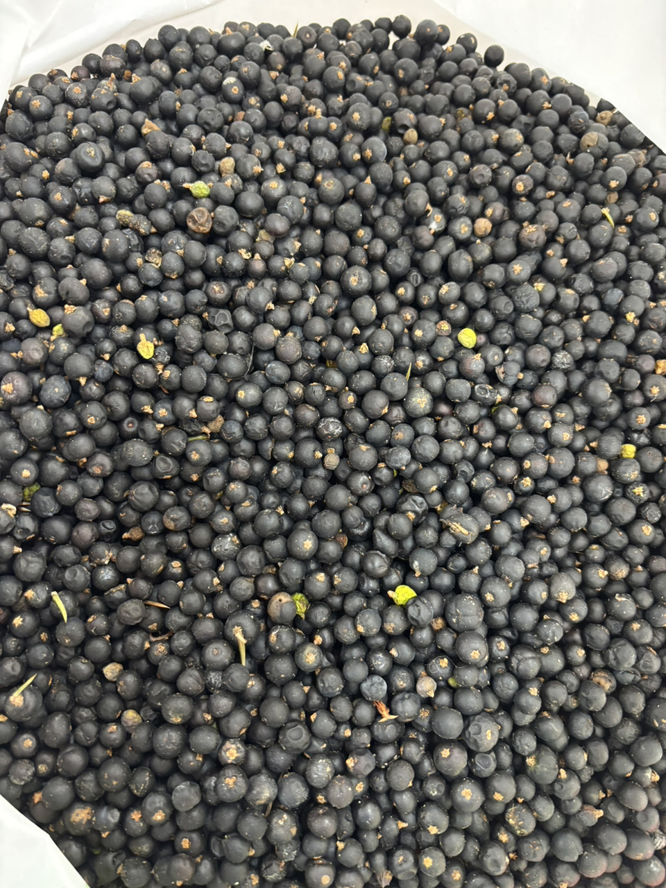 1кг., ялівець звичайний (суха ягода), фото 1