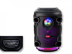 Автономна акустична система XPRO TMS-1210