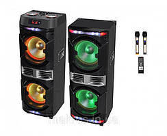 Подвійна акустична система ProAudio 1010