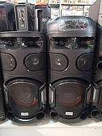 Парні колонки 2в1 акумулятор і мережа Pro Audio 1210