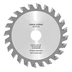 Пила підрізна для форматно-розкрійного верстату HM D-100, F- 20, Z - 20, K- 3,1-/4,0