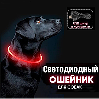 Зручний світний нашийник із комфортною посадкою для собак із 3 режимами світіння для вечірніх прогулянок із яскравим світлом