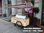 Ручний візок-холодильник "Ice Cream" із вбудованою вітриною., фото 4