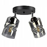 Люстра декоративна Sirius S4944-2 BK+SM з поворотнім механізмом, фото 2