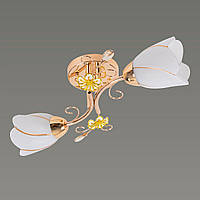 Люстра Sirius B N0282/2 (на 2 плафони)