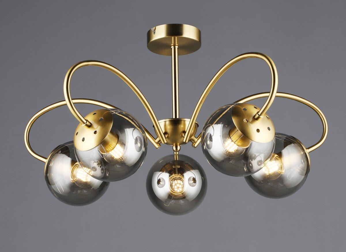 B N6609/5 COP, фото 1