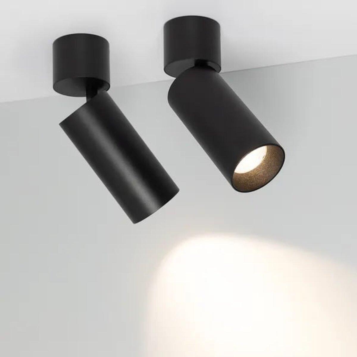 Спот з повортним плафоном Sirius PRD 4732, фото 1