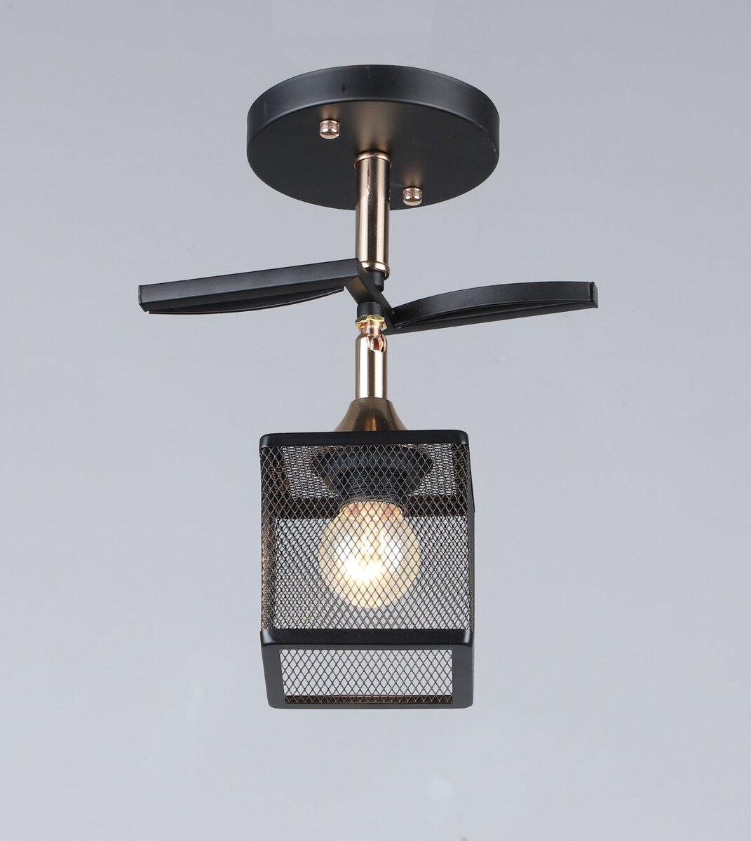 B N5708/1 BK+FGD, фото 1