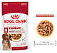 Вологий корм для собак середніх порід Royal Canin Medium Adult (Роял Канін Медіум) 140 гр 10 шт, фото 2