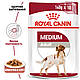 Вологий корм для собак середніх порід Royal Canin Medium Adult (Роял Канін Медіум) 140 гр 10 шт, фото 3