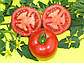 Томат Мейс F1, крупноплідний, 20 шт (Leda Agro), фото 4