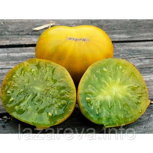 Насіння томату Гном Емі з Огайо (Dwarf Amy's Ohio) 10 шт, фото 1