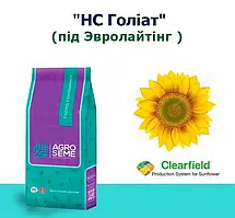 Насіння соняшник Голіат 2025г (Під час Євро Лайтинг)